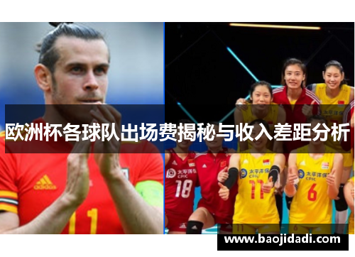 欧洲杯各球队出场费揭秘与收入差距分析